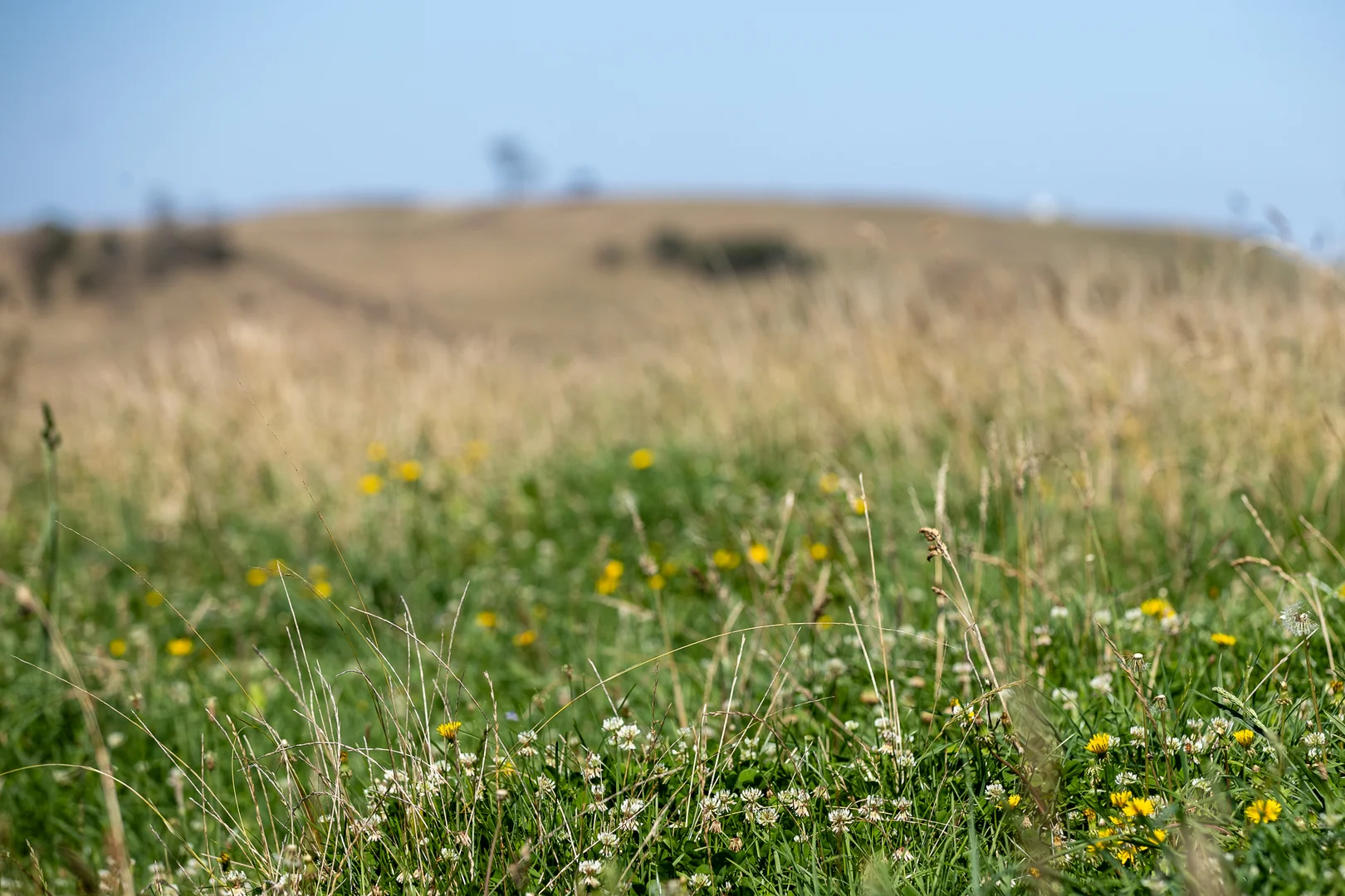 Additional image 15 of 1763 Wongwibinda Road, Armidale NSW 2350