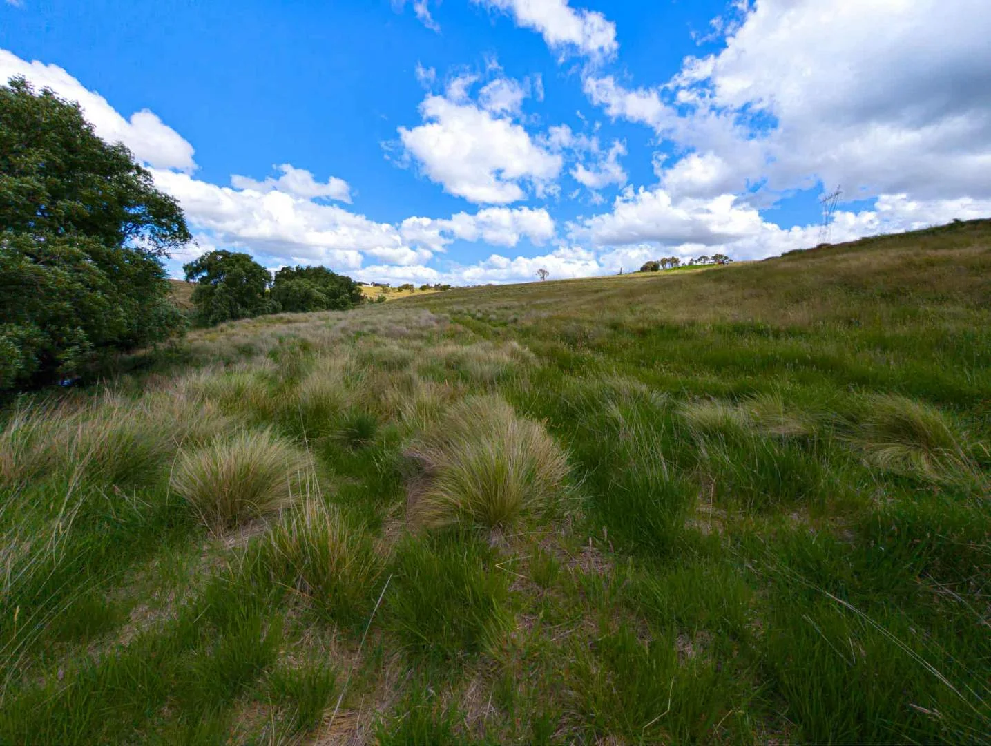 Additional image 6 of 83 Shinglehouse Road, Bywong NSW 2621