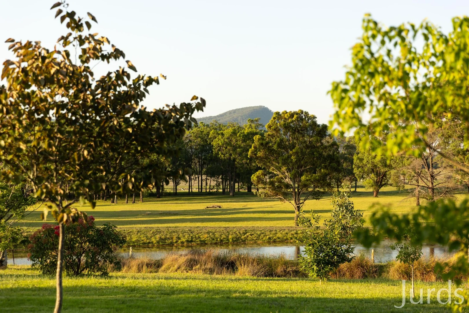 Additional image 43 of 1066 Wollombi Road, Broke NSW 2330