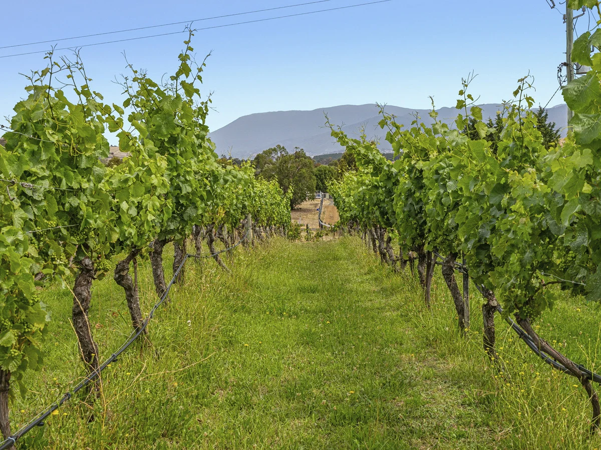 Additional image 18 of 1 & 3/173 Tea Tree Road, Brighton TAS 7030