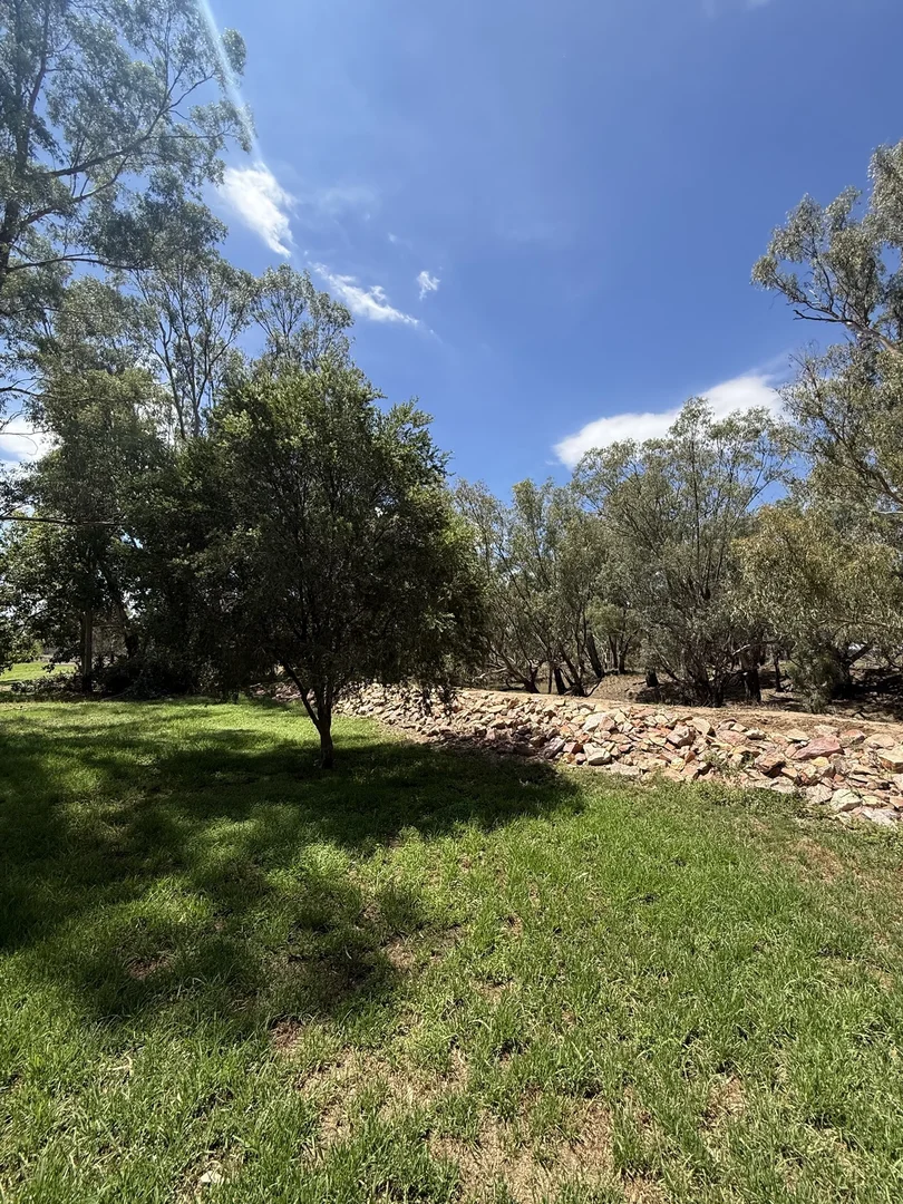 Additional image 60 of 506 North Forbes Rd, Condobolin NSW 2877