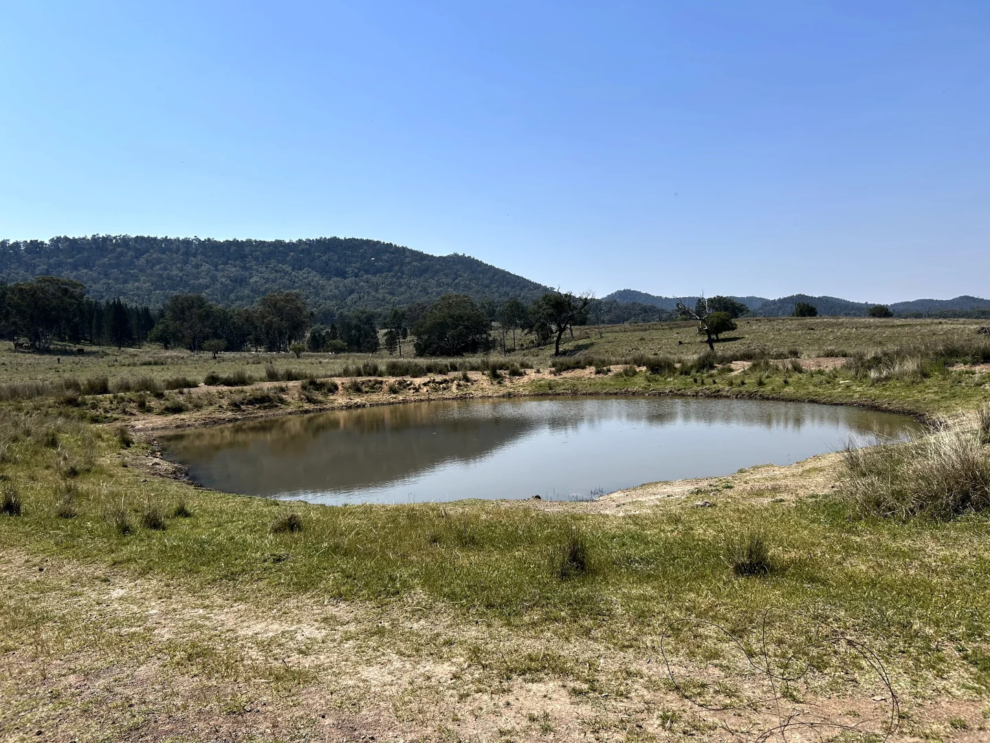 Additional image 15 of Riverview Road, Bingara NSW 2404