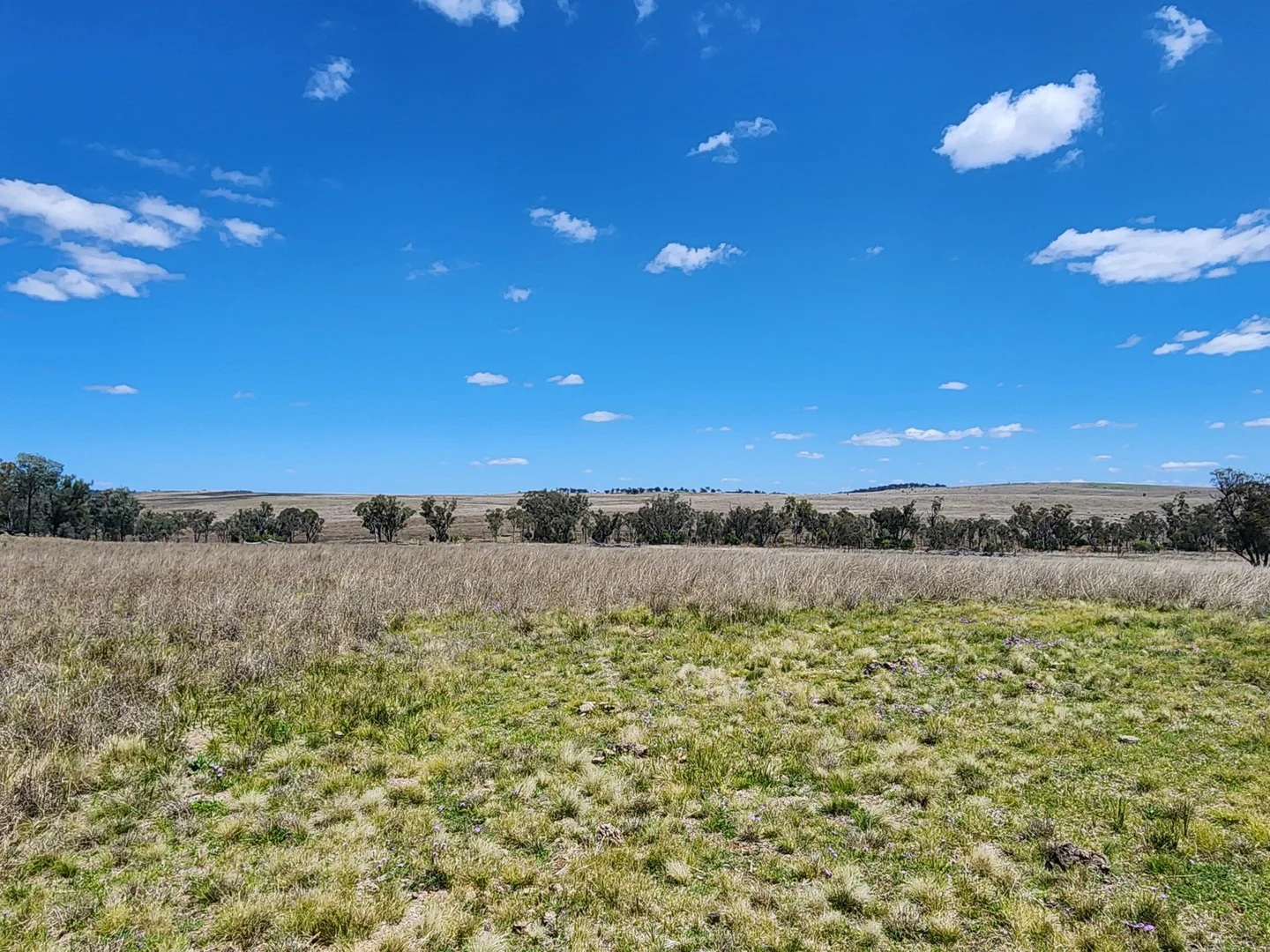 Additional image 2 of Lot 11 Pikedale Lane, Stanthorpe QLD 4380