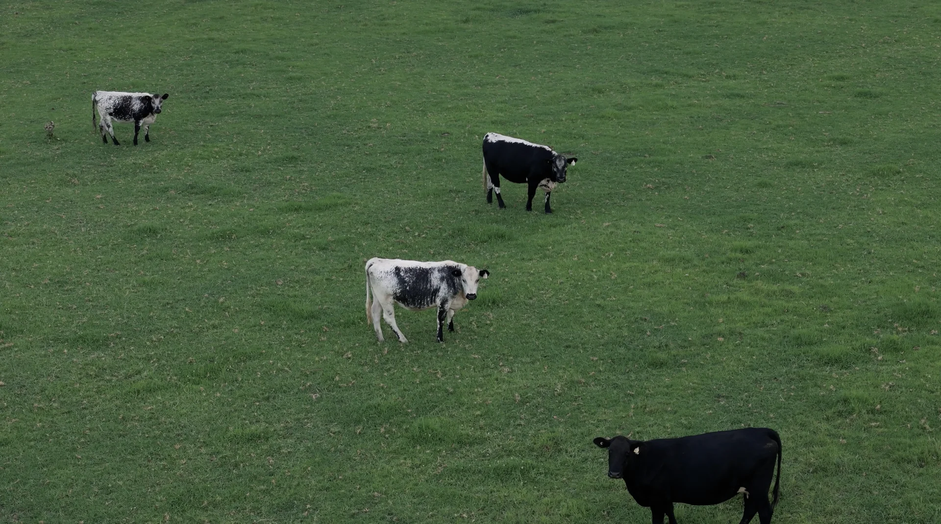 Additional image 24 of Kangaroo Valley NSW 2577