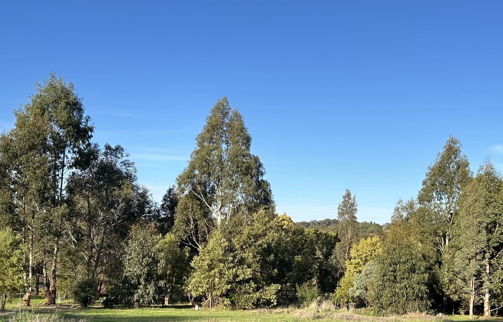 Additional image 31 of 2122 Euroa-Strathbogie Road, Strathbogie VIC 3666