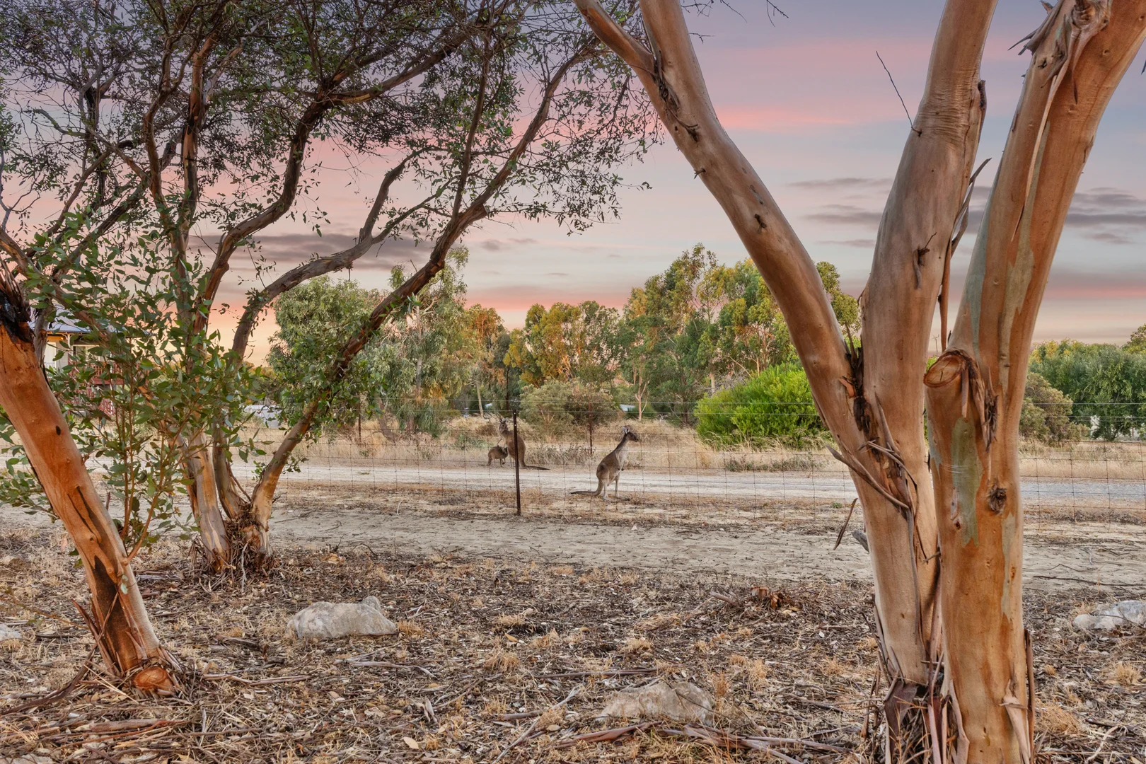 Additional image 4 of 29 Zamia Place, Gabbadah WA 6041