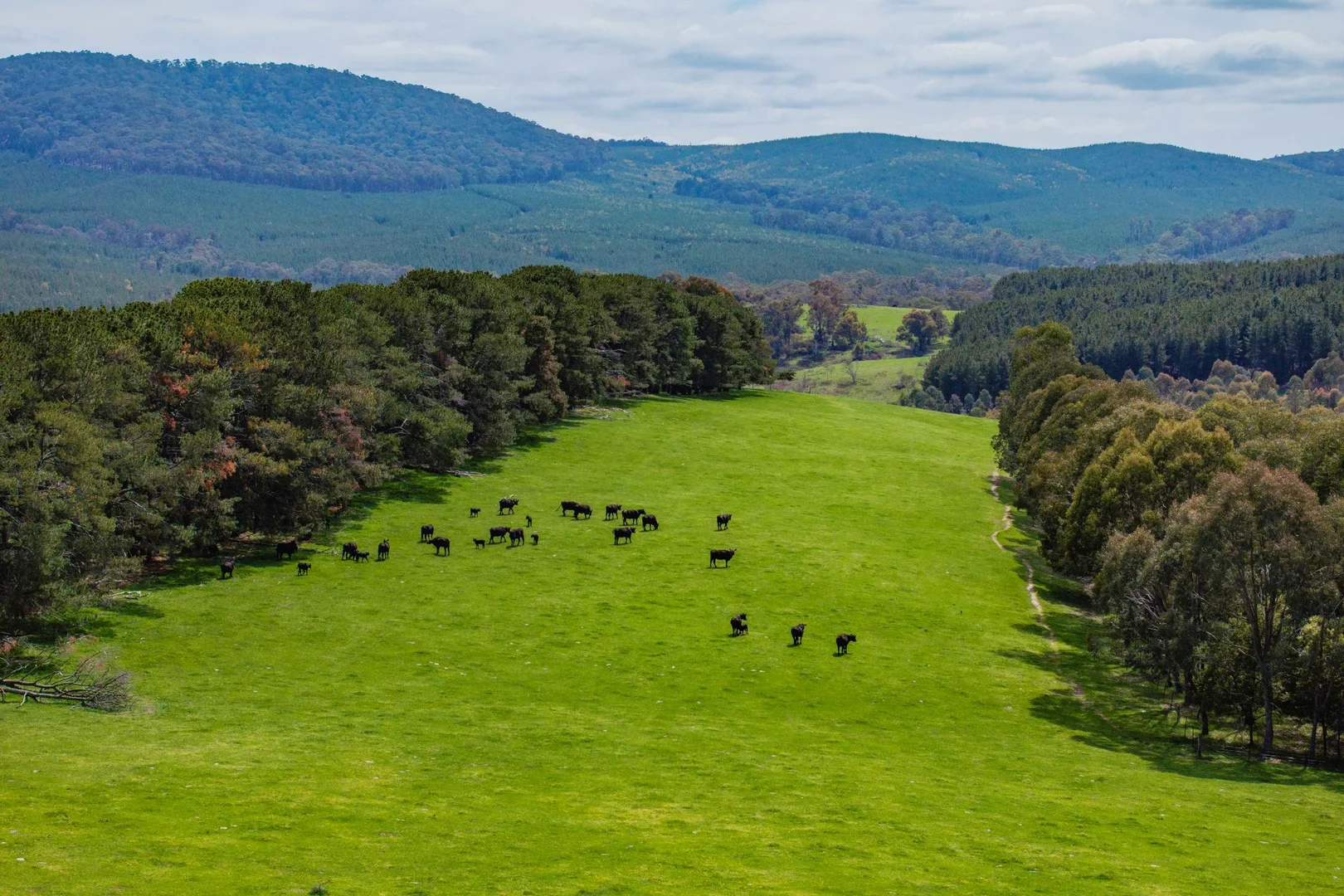 Additional image 30 of 2026 Jingellic Road, Tumbarumba NSW 2653