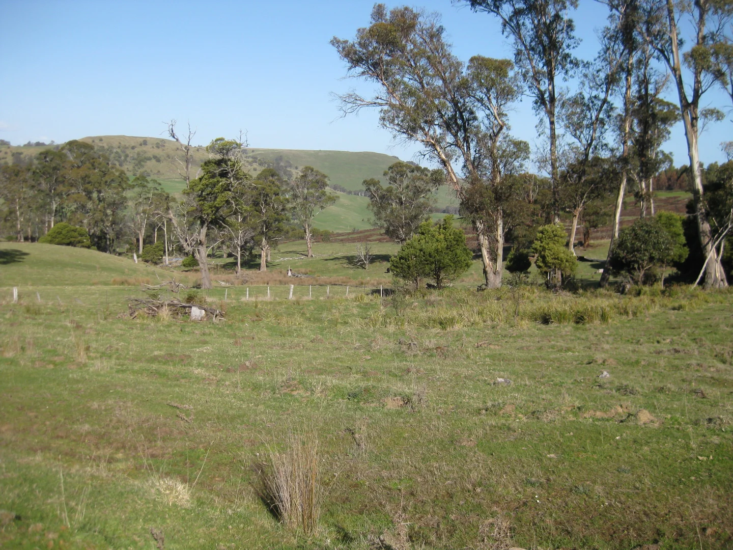 Additional image 13 of 8415 Lyell Highway, Ouse TAS 7140