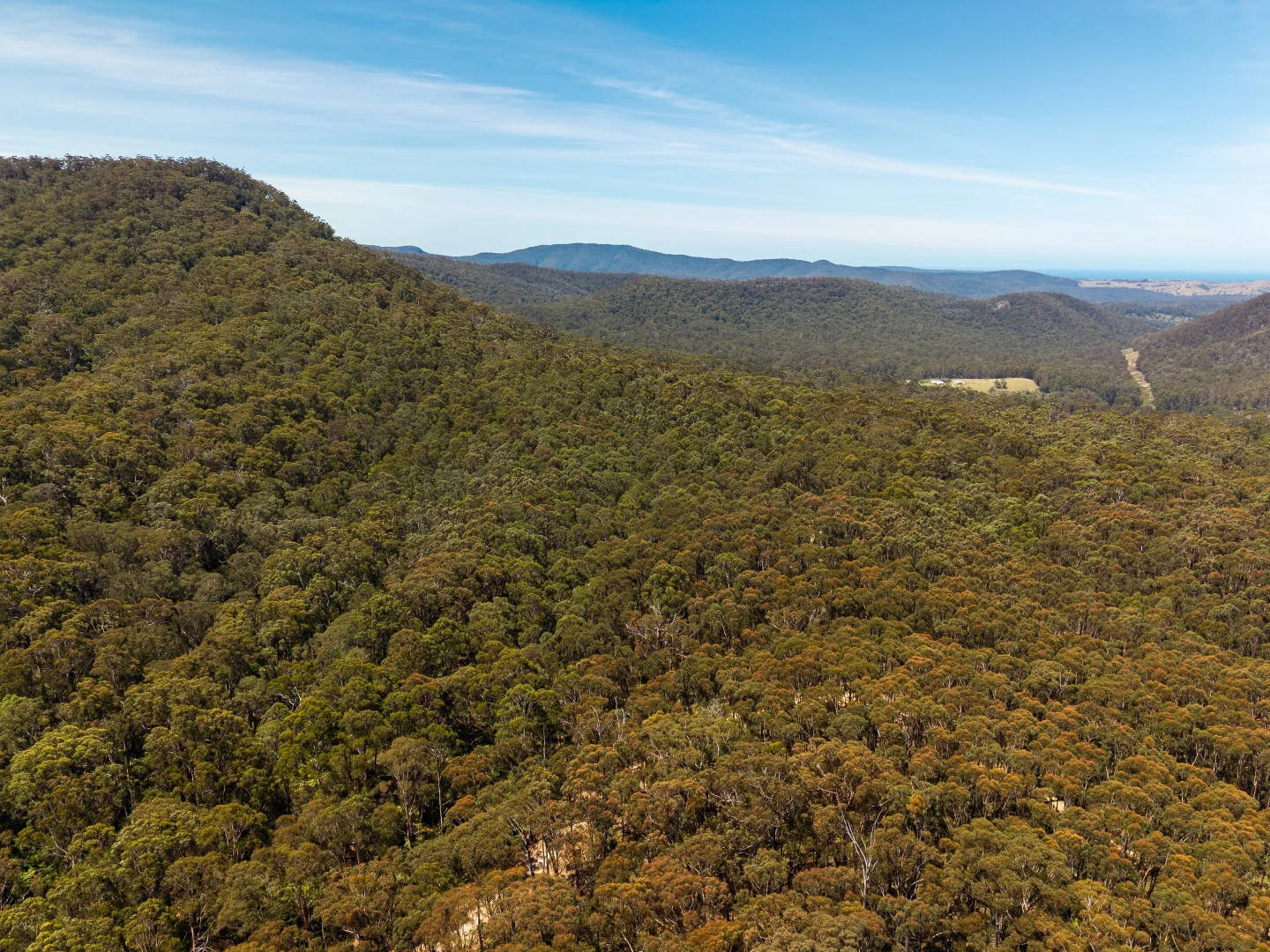 Additional image 9 of 1824 Mount Darragh Road, Wyndham NSW 2550