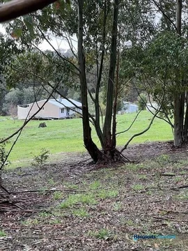 Additional image 24 of 46 Buckley Road, Carlotta WA 6275