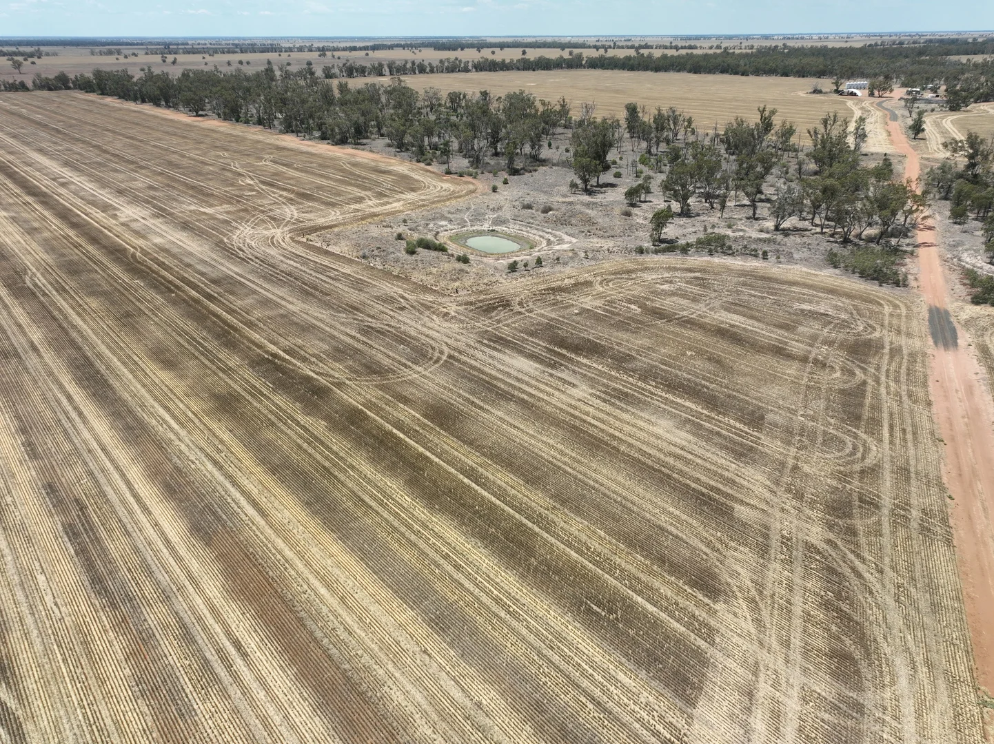 Additional image 8 of 'The Pines' 211 Dicks Camp Road, Collie NSW 2827