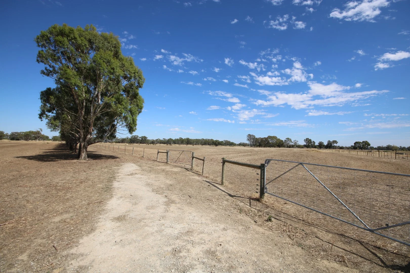 Additional image 4 of 1480 Fennaughty Road, Merrigum VIC 3618