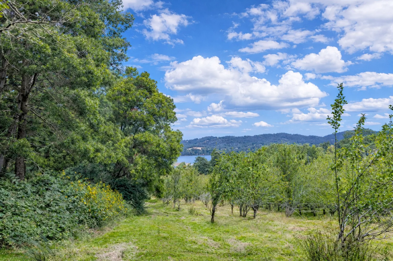 Additional image 37 of 4030 Huon Highway, Castle Forbes Bay TAS 7116