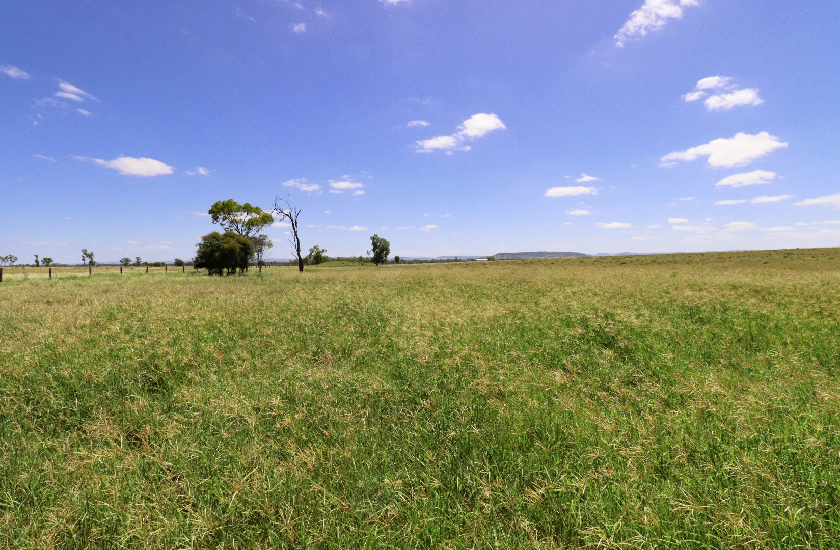 Additional image 4 of "The Farm" 1282 Semples Road, Thangool QLD 4716