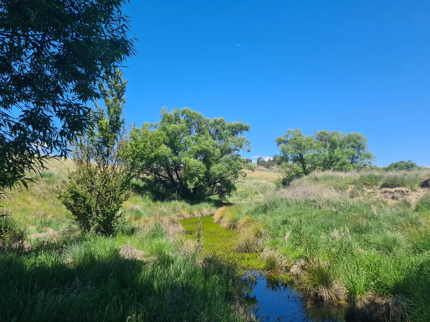 Additional image 9 of 83 Shinglehouse Road, Bywong NSW 2621