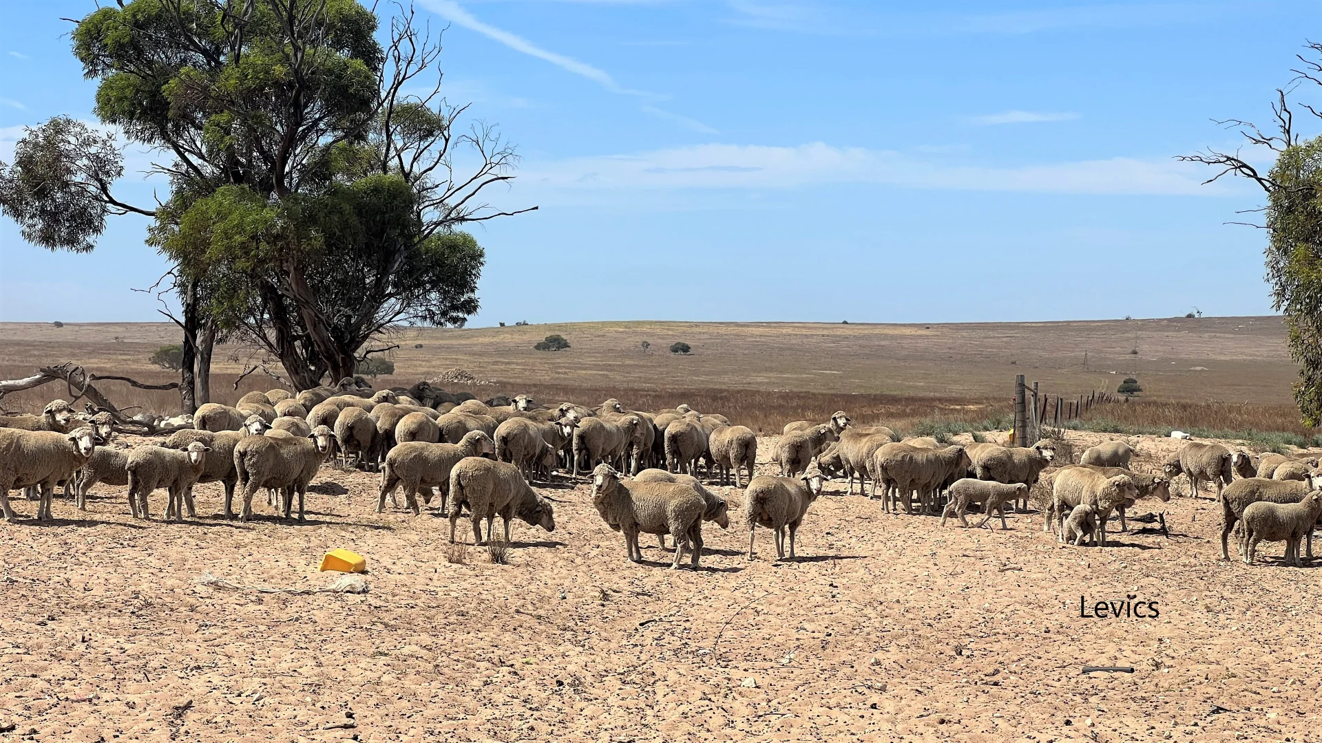 Additional image 5 of 256 Blacket Road, Wynarka SA 5306