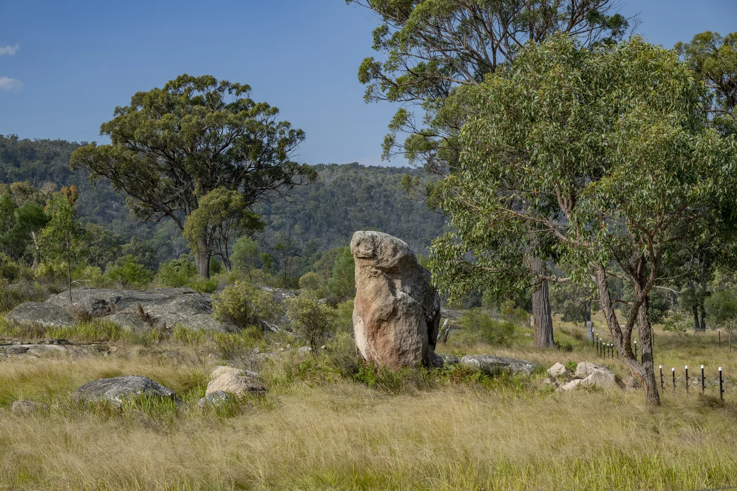 Additional image 23 of 1166 New England Highway, Tenterfield NSW 2372