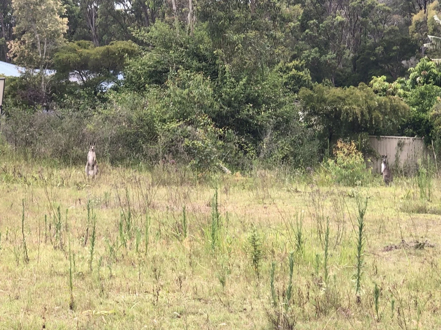 62 Government Road, Wyee Point NSW 2259