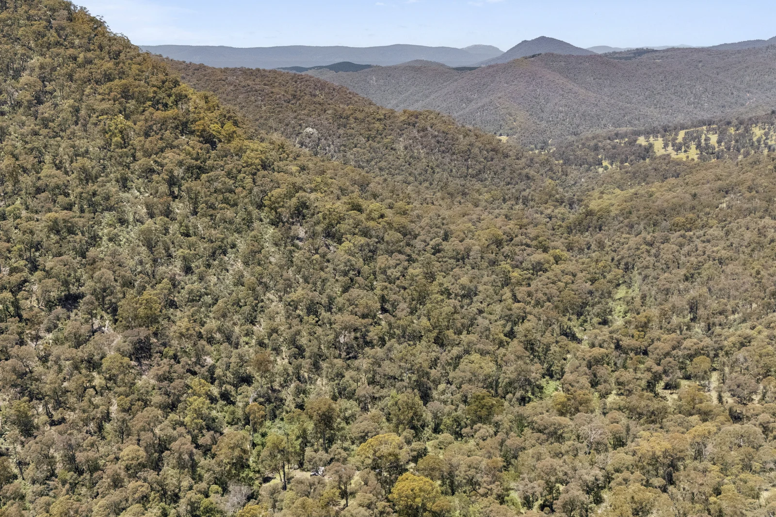 Additional image 19 of 321 Log Bridge Creek Road, Wee Jasper NSW 2582