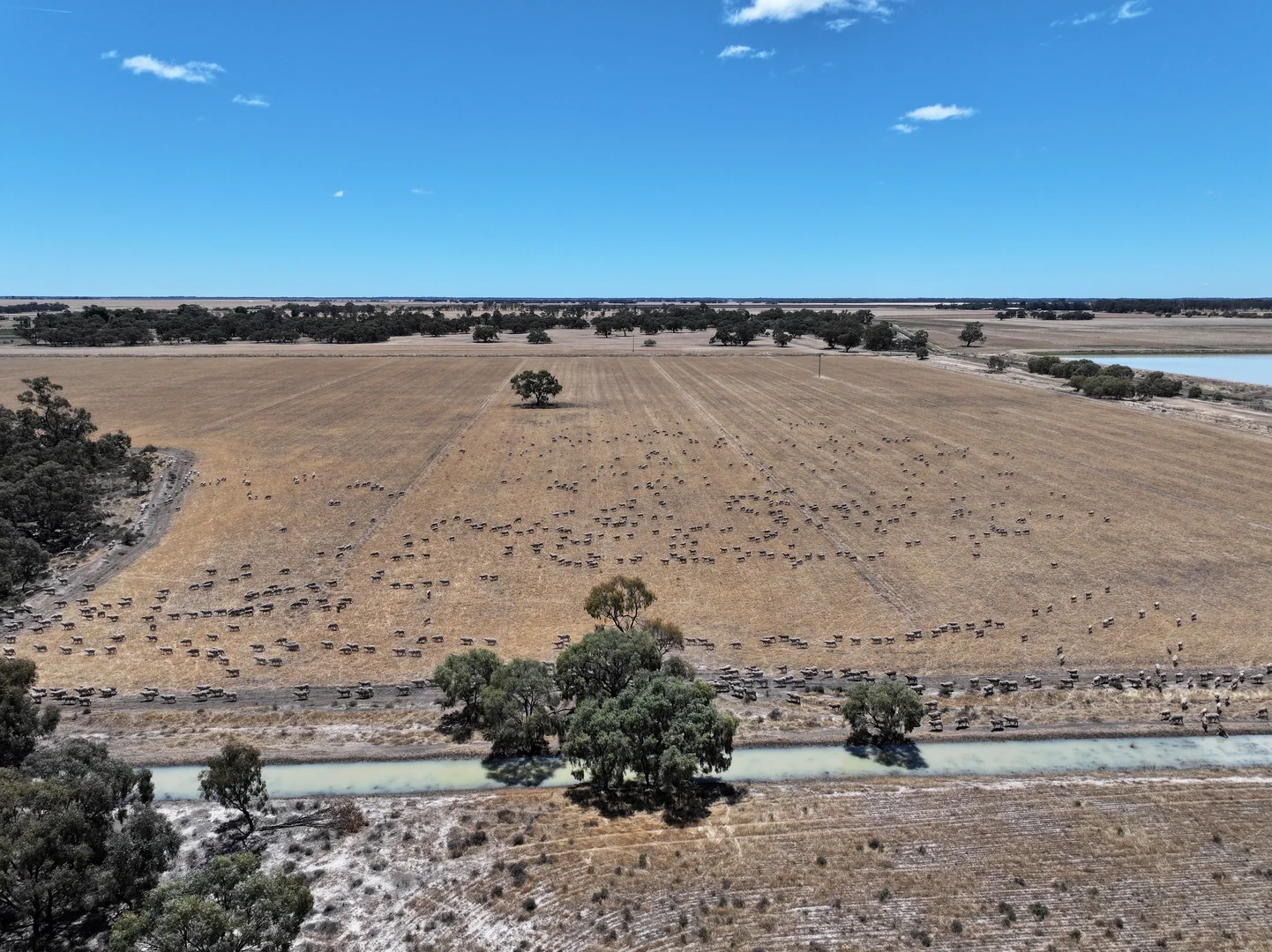 Additional image 17 of 300 Devon Road, Deniliquin NSW 2710