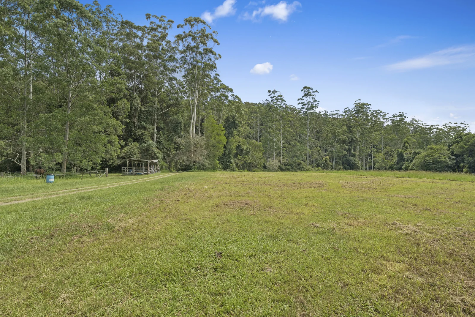 Additional image 21 of 121 Boggy Creek Road, Bellingen NSW 2454