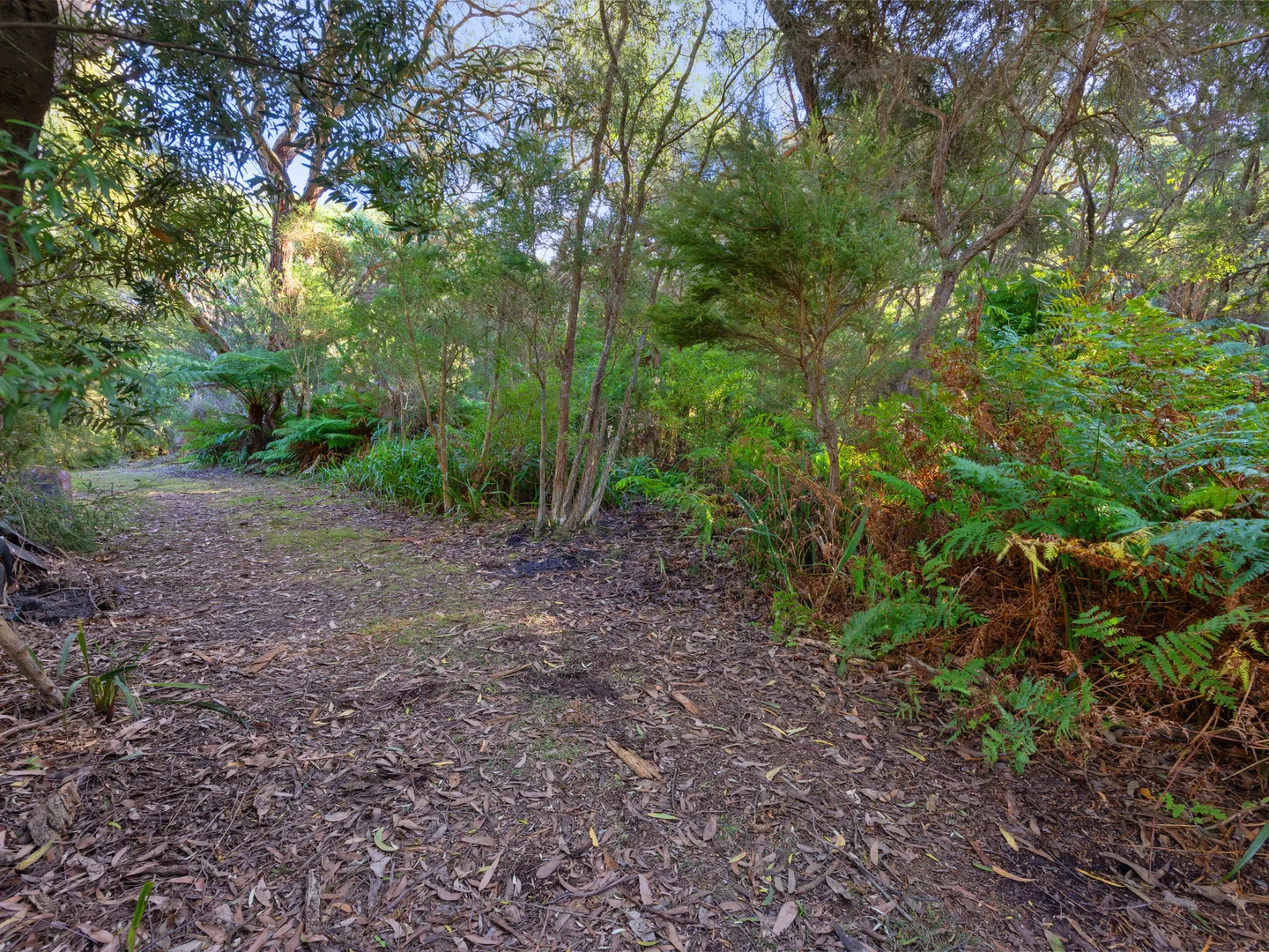 Additional image 9 of 15 Caringal Street, Waratah Bay VIC 3959