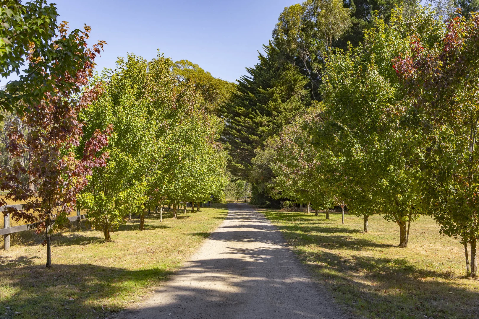 Additional image 2 of 101 Stanleys Road, Red Hill South VIC 3937
