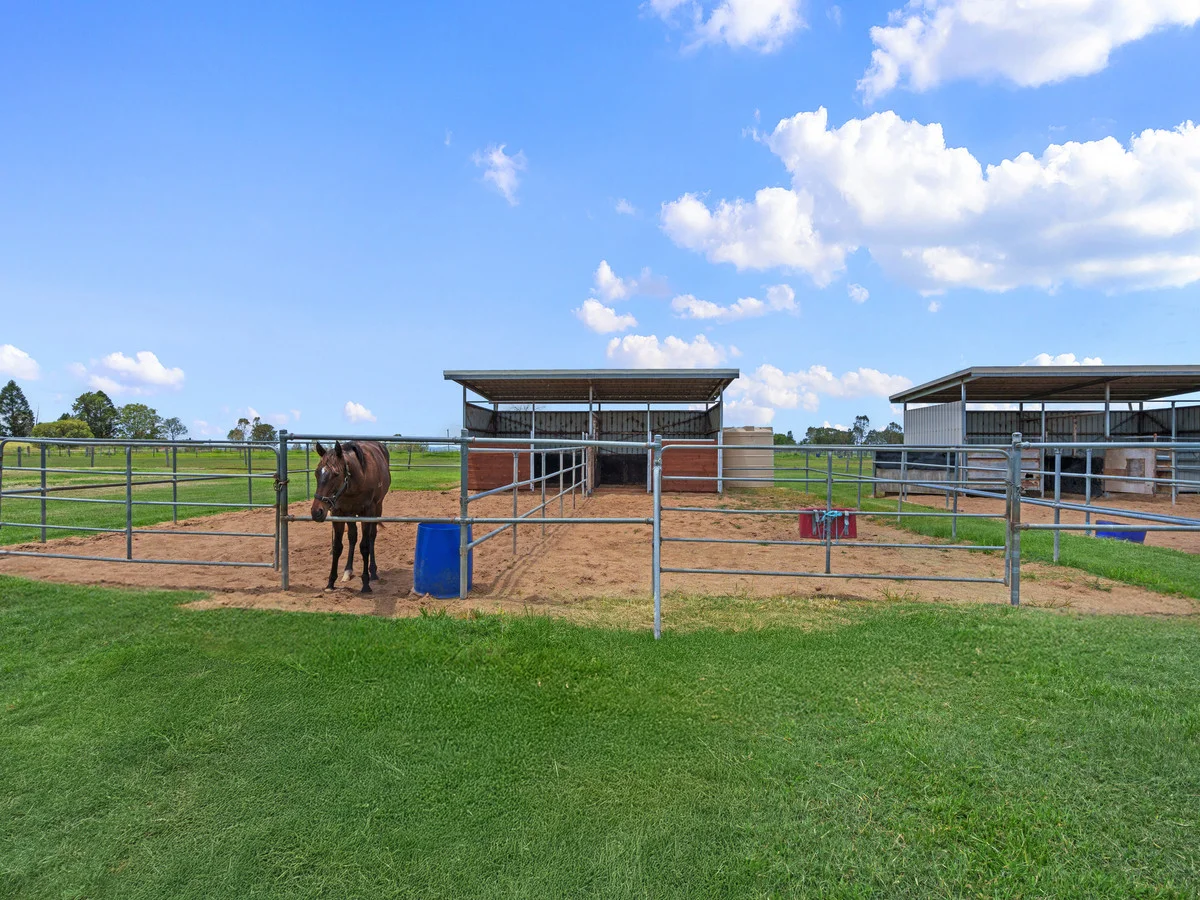 Additional image 31 of 51 Haslingden Road, Lockyer Waters QLD 4311