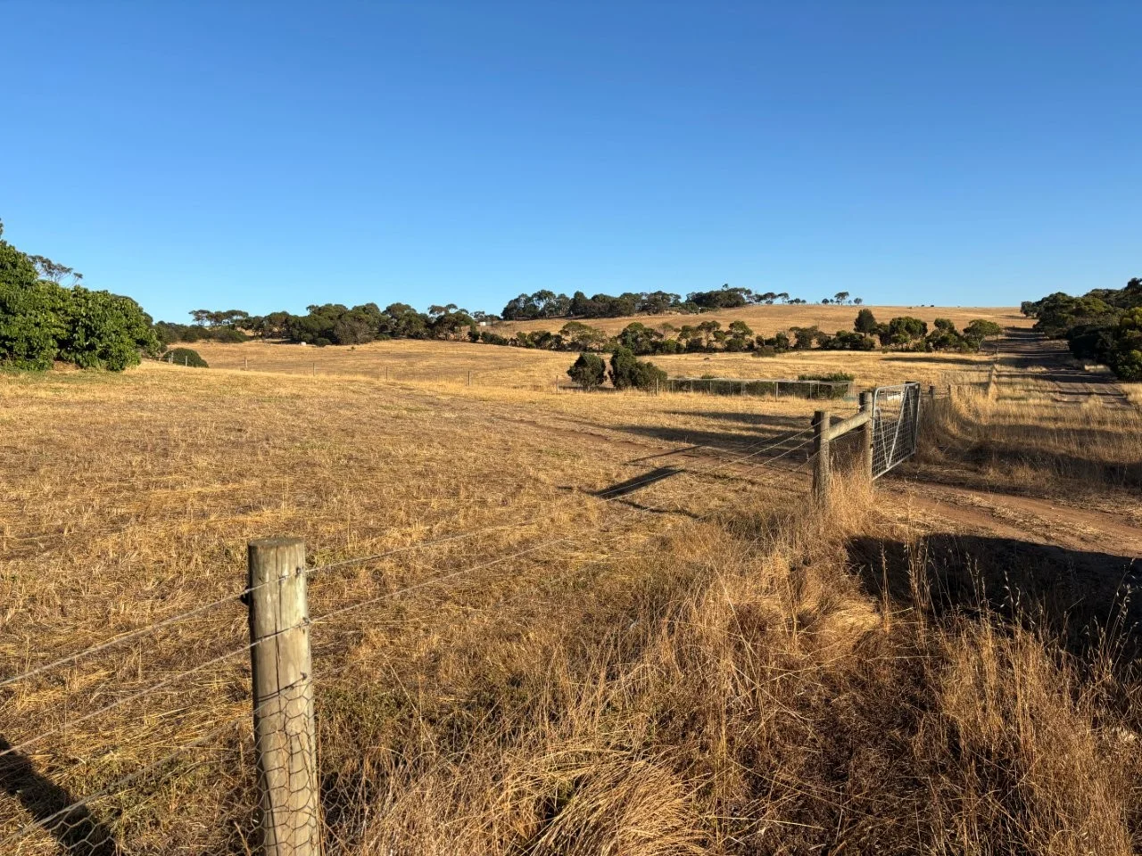 Additional image 28 of 7 Hidden Valley Lane, Boston SA 5607