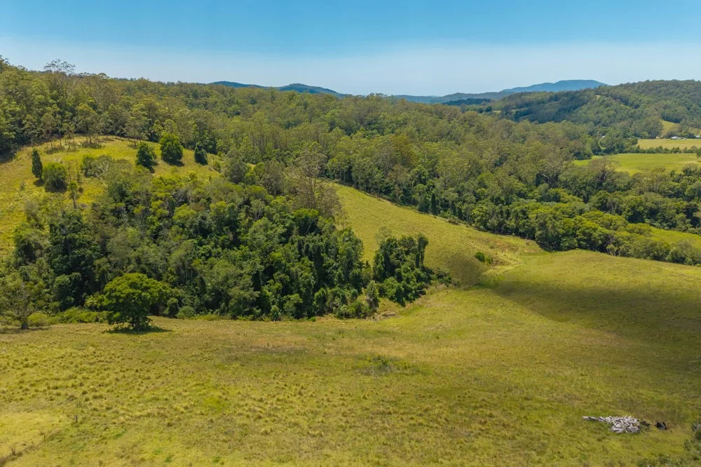 Additional image 27 of 486 North Branch Rd, Upsalls Creek NSW 2439