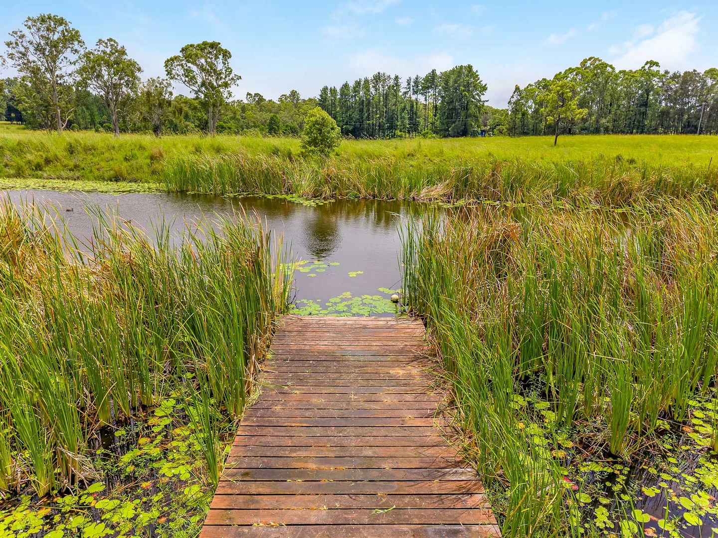 Additional image 26 of 144 Fredericks Road, Caniaba NSW 2480