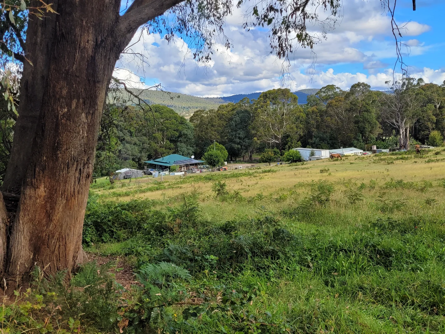 Additional image 8 of 1809 Bonang Road, Delegate River VIC 3888