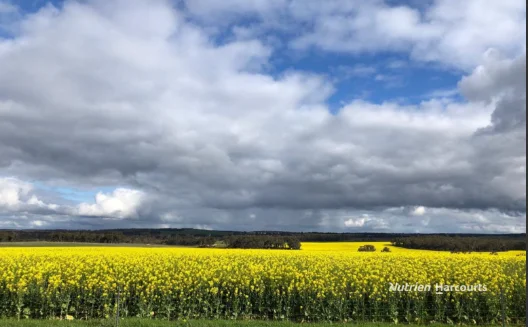 Additional image 20 of 175 Racecourse Road, Frankland River WA 6396