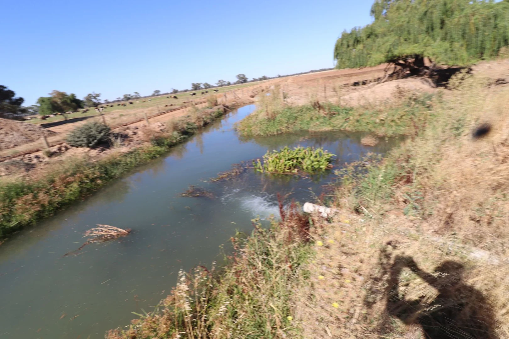 Additional image 11 of 156 Walker Lane, Tullakool NSW 2732