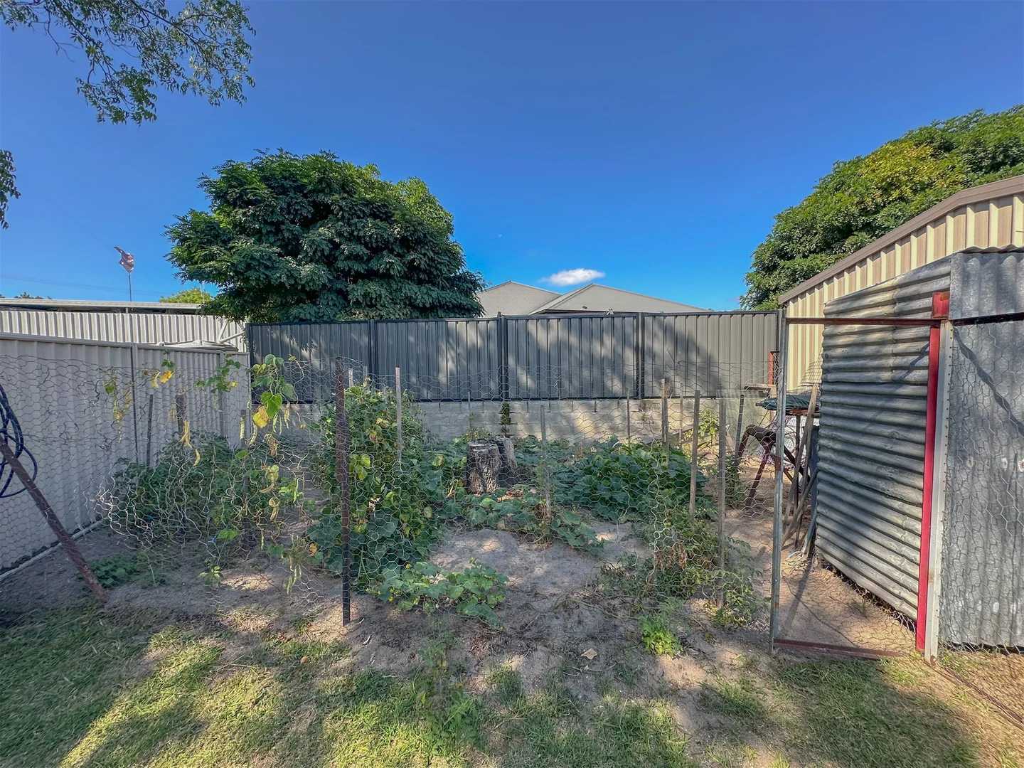 Additional image 23 of 20 Pike Street, Stanthorpe QLD 4380