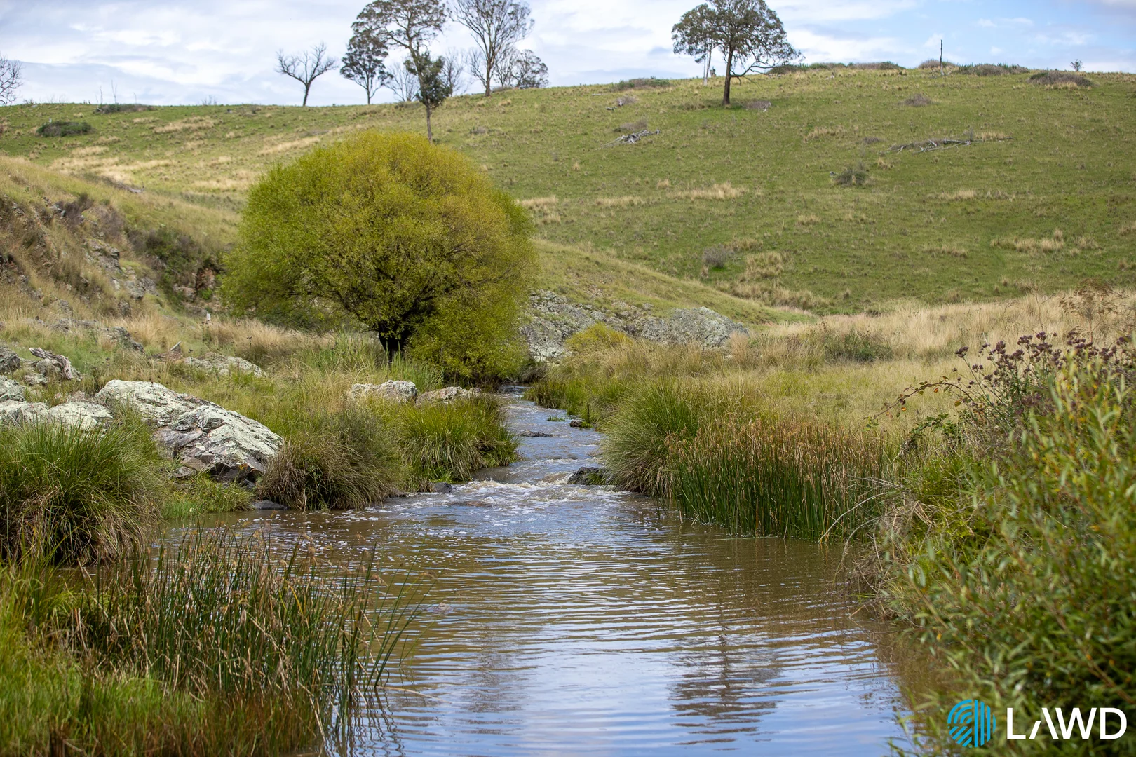 Additional image 12 of Alora-Mia Kellys Road, Armidale NSW 2350
