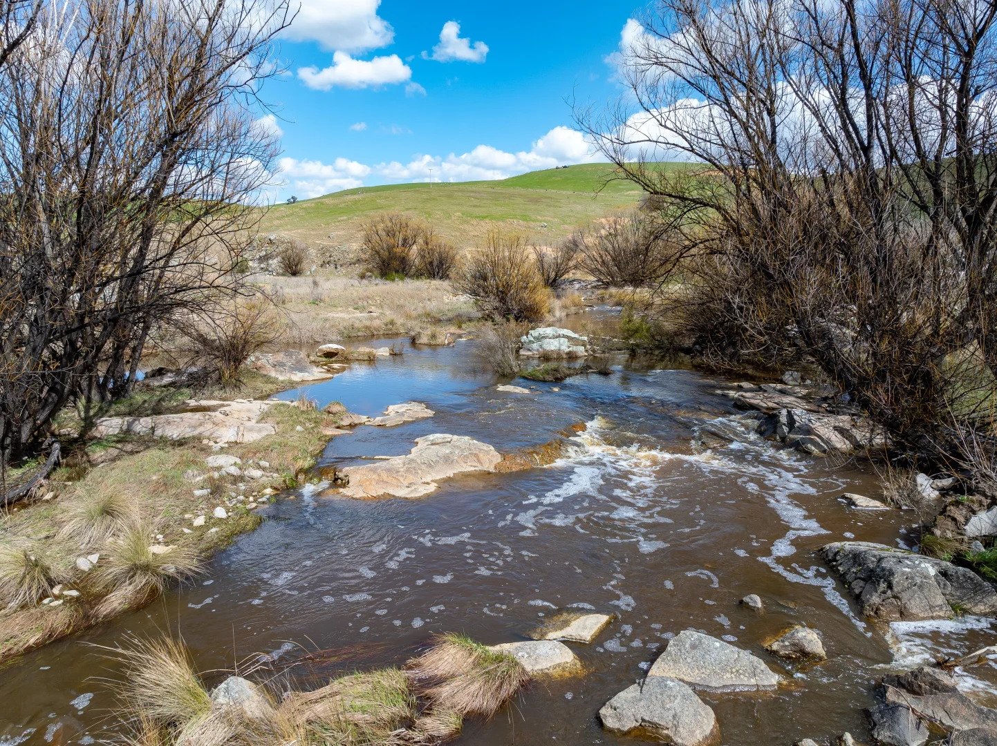 Additional image 16 of 1185 Golspie Road, Golspie NSW 2580