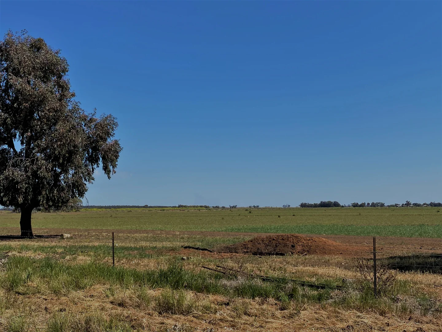 Additional image 12 of 395 Apostle Yard Road, Leeton NSW 2705