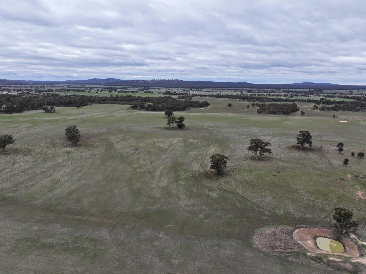 Additional image 5 of Lot 1 Rheola - Llanelly Road, Murphys Creek VIC 3551