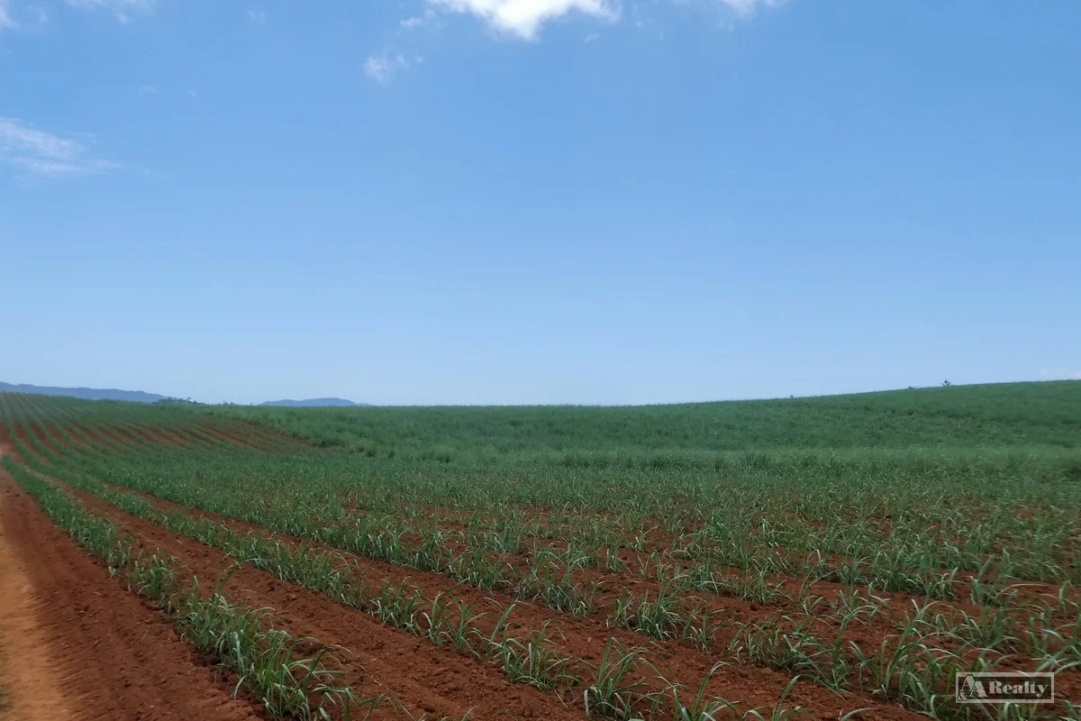 Additional image 7 of Belvedere QLD 4860