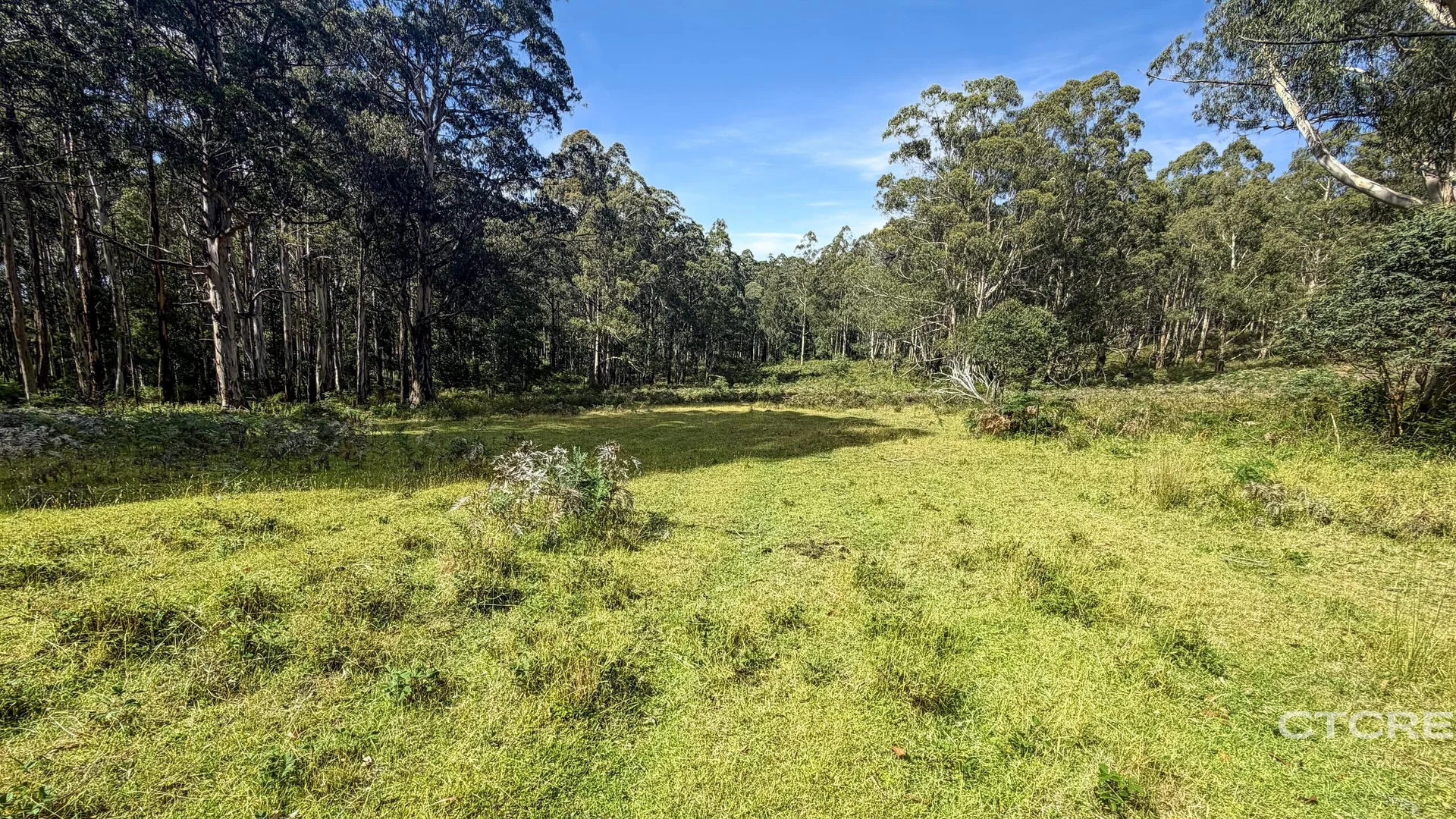 Additional image 16 of 12F & 12G Minchins Track, Bonang VIC 3888