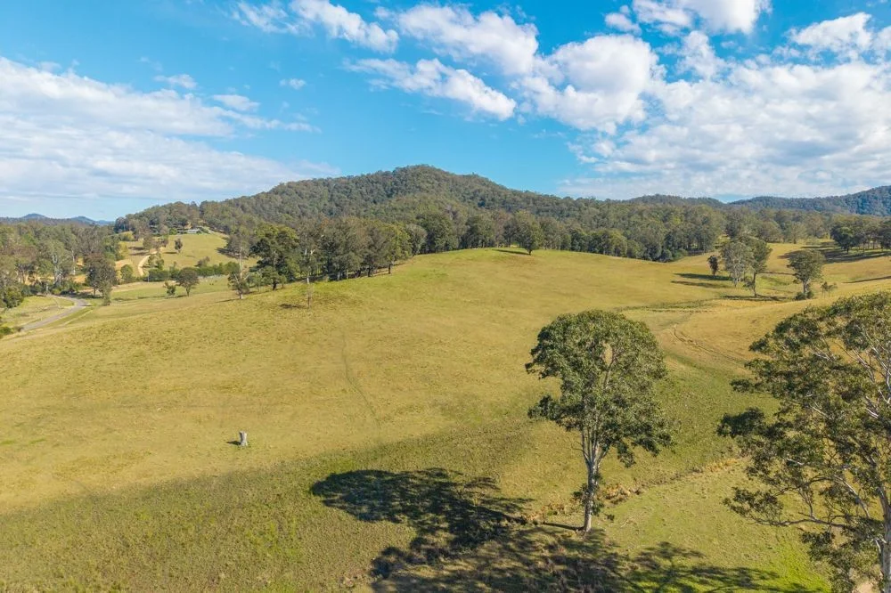 Additional image 6 of LOT 1 of 449 Hickeys Creek Road, Millbank NSW 2440