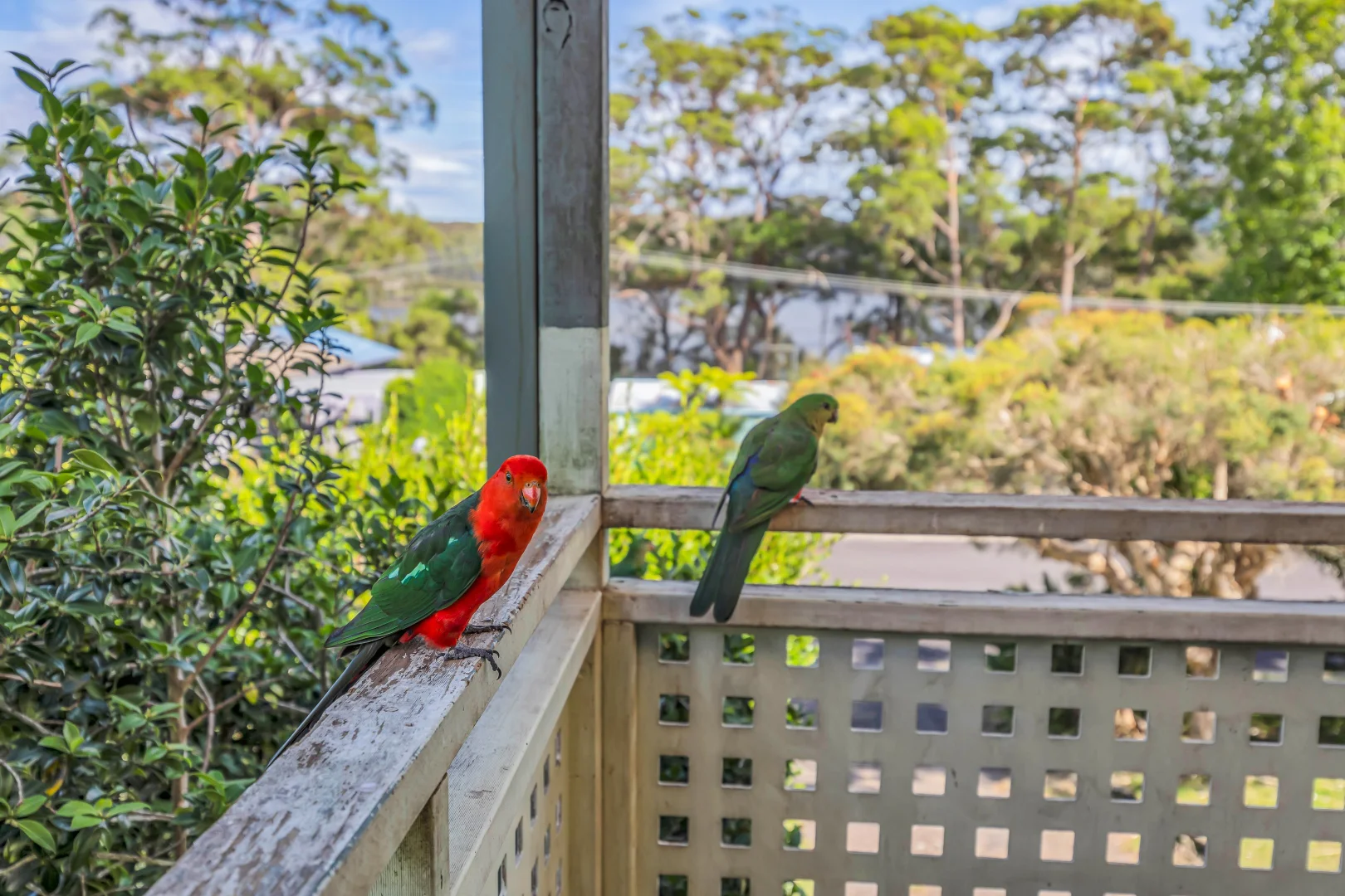 Additional image 4 of 15 Fairhaven Point Way, Wallaga Lake NSW 2546