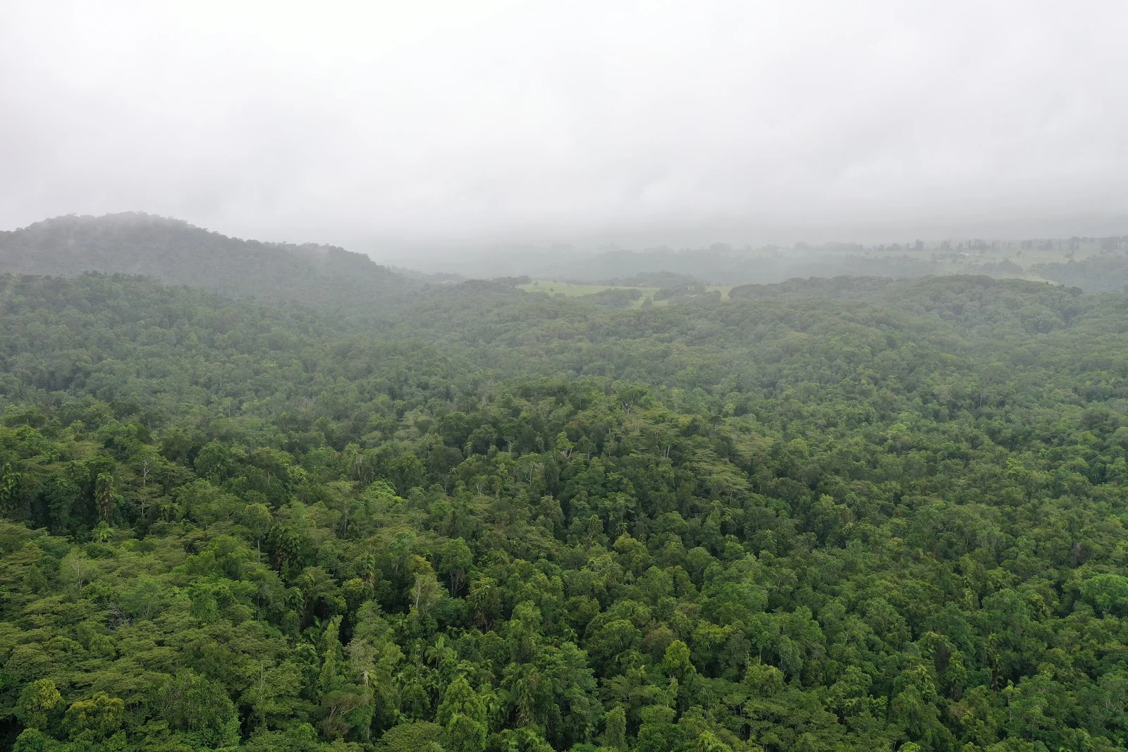 Additional image 34 of Lot 213 Kelly Road, Ellinjaa QLD 4886