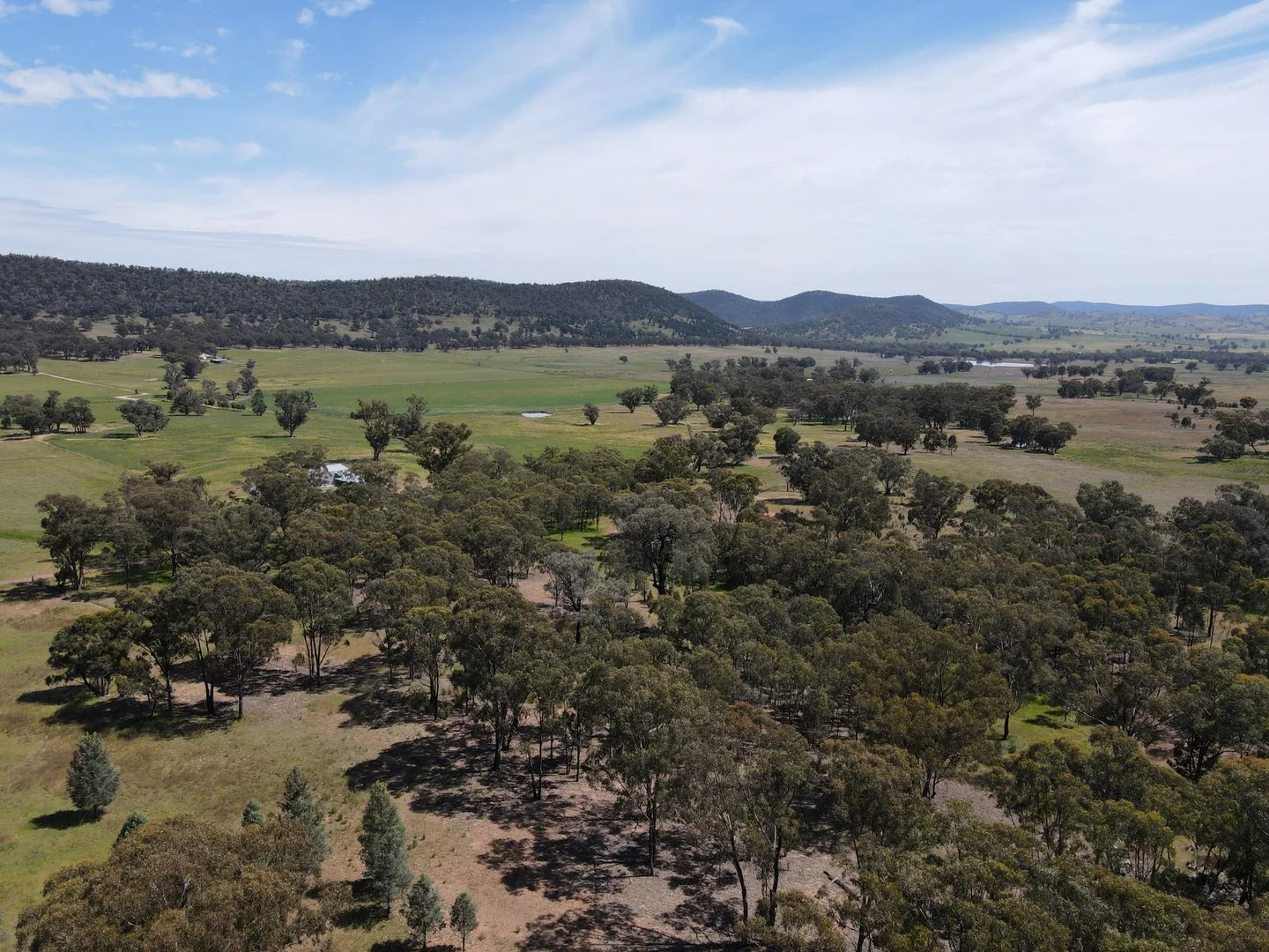 Additional image 16 of "Nangar Valley" 223 Rodwells Road, Murga NSW 2864