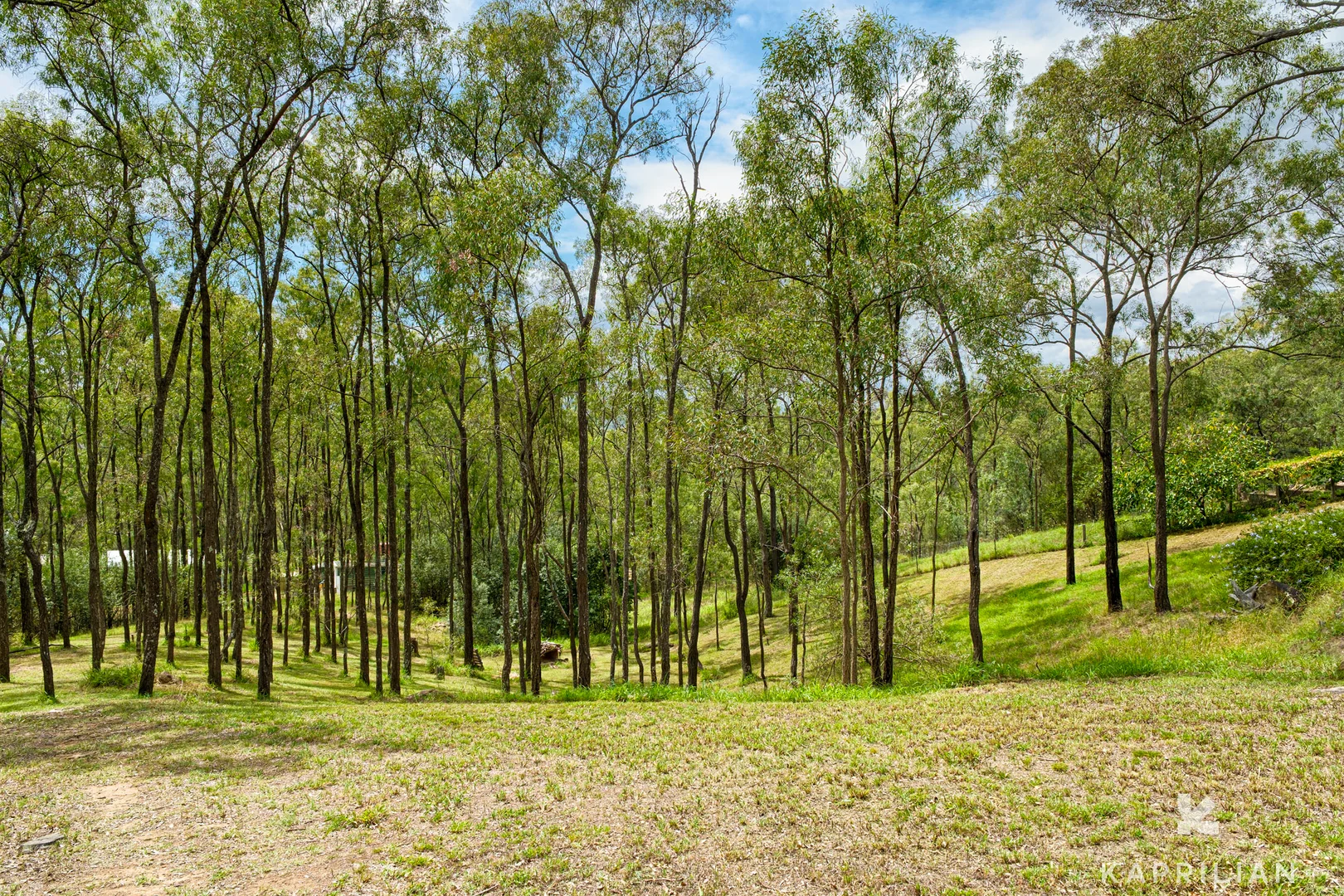 Additional image 21 of 91 Hambledon Hill Road, Gowrie NSW 2330