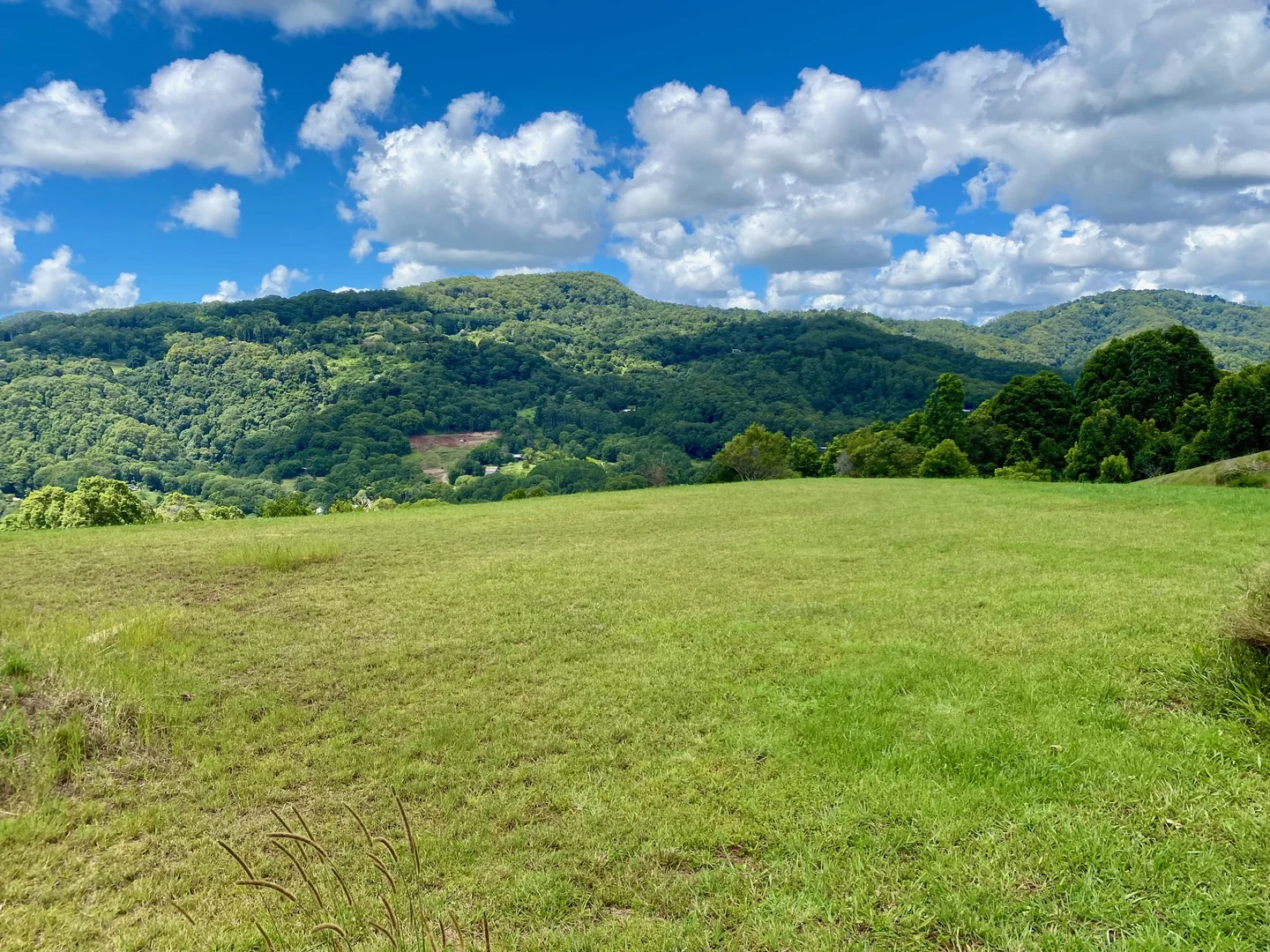 Additional image 25 of 1318 Currumbin Creek Road, Currumbin Valley QLD 4223