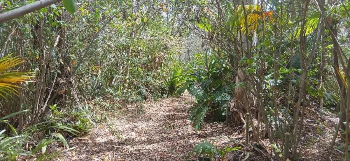 Additional image 12 of 1 Top End Mines Road, Torbanlea QLD 4662