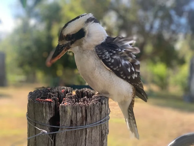 Additional image 22 of Glastonbury QLD 4570