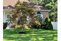 Additional image 2 of 15 Timber Ridge Dr, Coram, NY, 11727